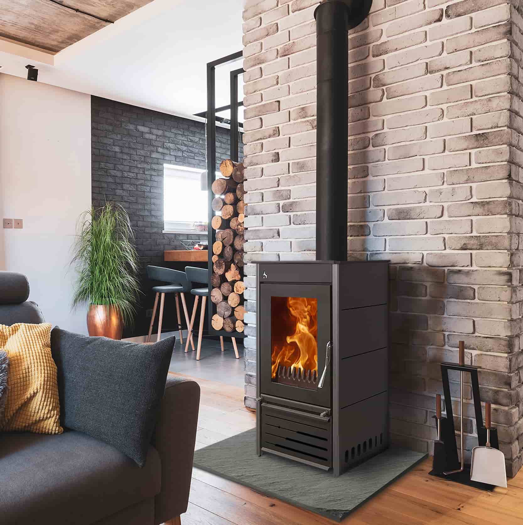 Wood Burning Boiler Stove by Woodfire CX8 Contemporary