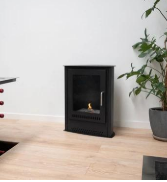 Carson Small Wood Burning Stove & Bioethanol Fireplace 1.3kW